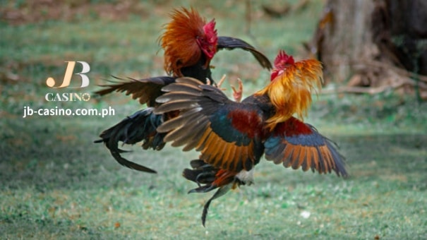 Ang Pilipinas ay kilala sa mayamang kultura at tradisyon, kabilang ang isports ng sabong. Sa isport na ito, ang mga tandang ay pinalalaki at sinasanay para sa pakikipaglaban, at ito ay naging sikat na libangan sa bansa sa loob ng maraming siglo. Ang Barnabas, isang maliit na nayon sa lalawigan ng Batangas, ay isa sa pinakasikat na lugar para sa sabong. Ito ay tahanan ng ilang sikat na fighting cock breed at lubos na hinahangad ng mga mahilig sa JB Casino.