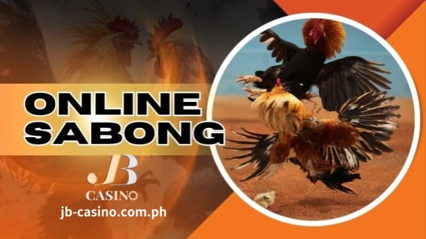 Online Sabong is more than just randomly picking a rooster to win. Experienced bettors take the game seriously and analyze winning patterns before placing bets. While most of these insights come from experience, newbies to Sabang betting can learn and prepare before entering the arena. JB Casino has created a guide with all the tips and tricks you need to become a better punter.