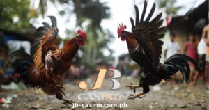 Dalawang Manok na nagpapakitang gilas upang mapatunayan kung sino ang mas magaling sa pamamagitan at mapapanood itong gantong labanan sa pag lalaro sa online sabong